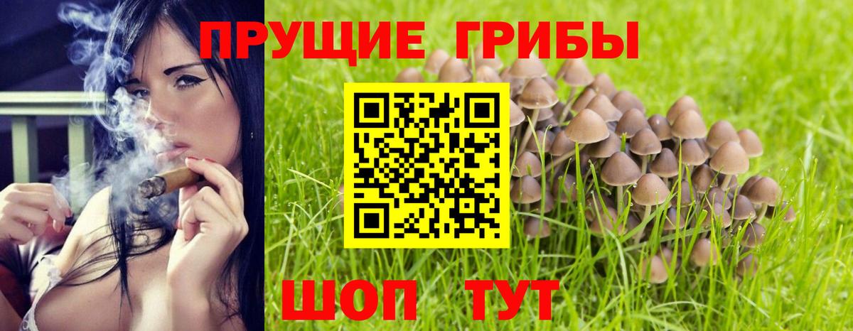 Галлюциногенные грибы мицелий  Вход с VPN  Нарткала 